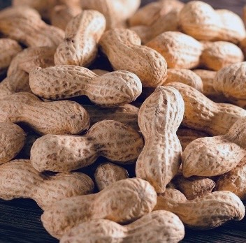 EGG'S CAFE 　Cha 茶 ちゃ♪