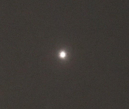 ★ドンキ♡♡ロピア 雑談33★