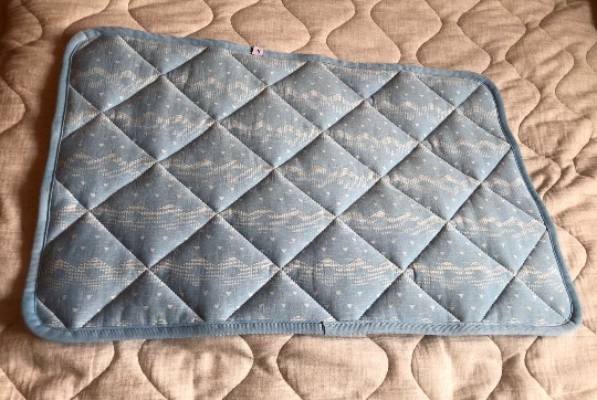 生き物ルーム第44