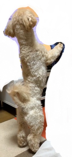 生き物ルーム第44