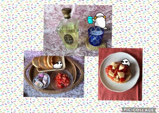 生き物ルーム第44