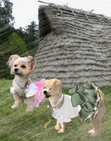 生き物ルーム第43