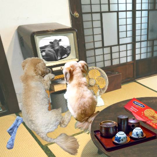 生き物ルーム第44