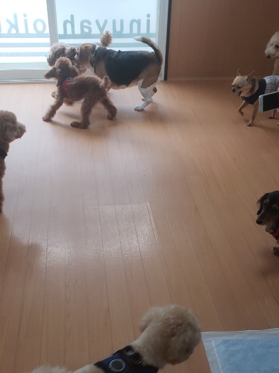 生き物ルーム第44