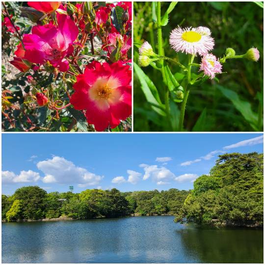 つぶやきトピック その58