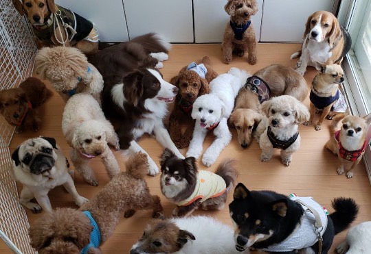 生き物ルーム第42