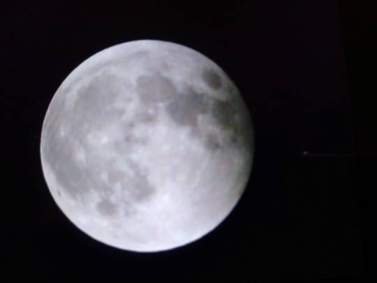 #雑談お絵描き部…ホーム❼