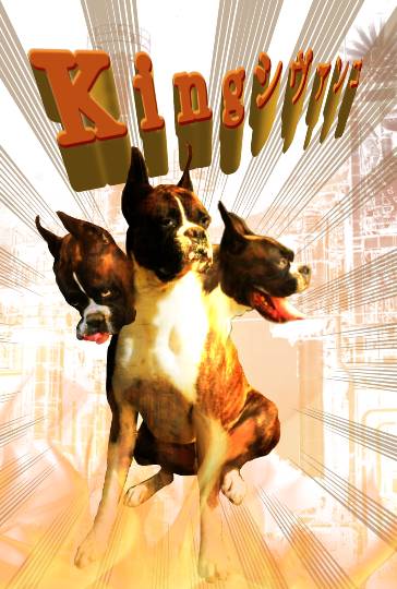 生き物ルーム第42