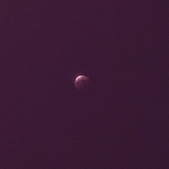 ★ドンキ♡♡ロピア 雑談33★