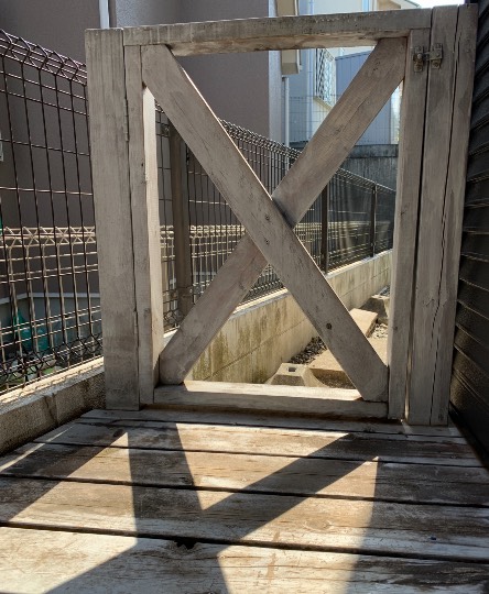 生き物ルーム第43