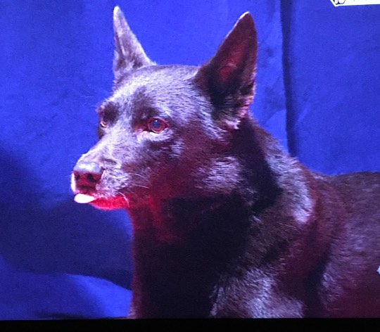 生き物ルーム第44