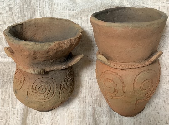 生き物ルーム第43