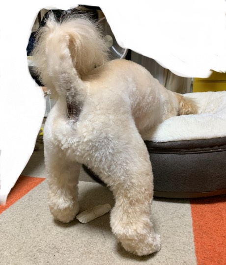 生き物ルーム第43