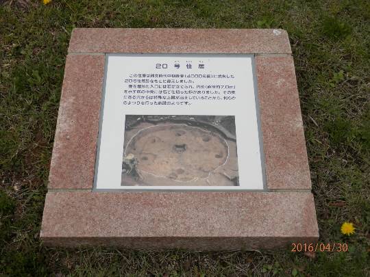 生き物ルーム第43