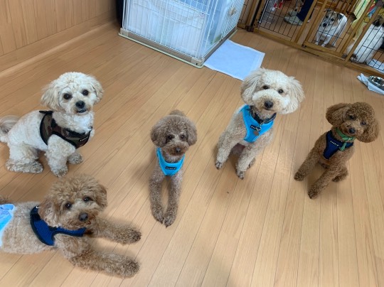 生き物ルーム第43