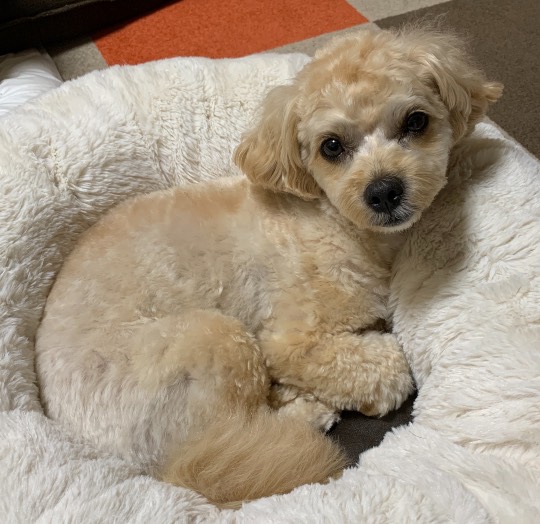 生き物ルーム第43