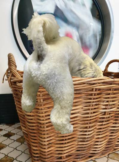 生き物ルーム第43