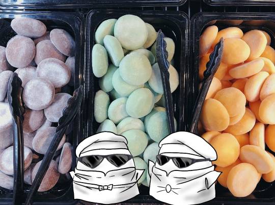 EGG'S CAFE 　Cha 茶 ちゃ♪