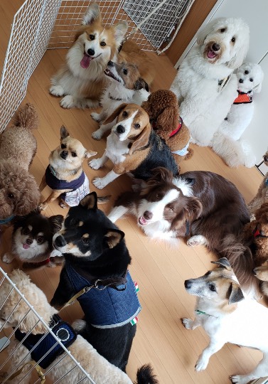 生き物ルーム第44