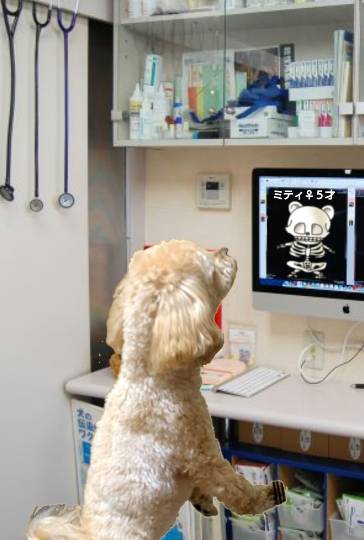 生き物ルーム第43