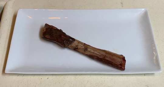 生き物ルーム第43