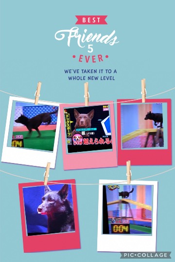 生き物ルーム第44