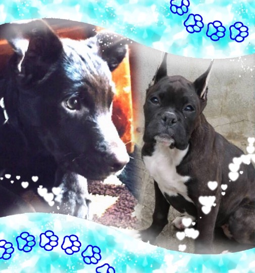 生き物ルーム第43