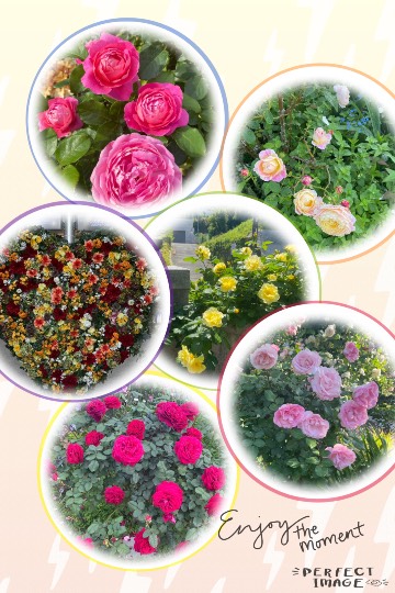 ★ドンキ♡♡ロピア 雑談34★