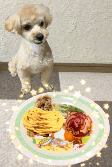 生き物ルーム第43