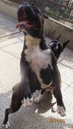 生き物ルーム第44