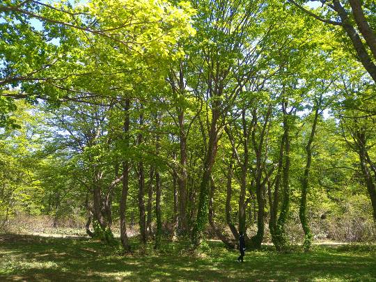 マスク同窓会詰所兼ニューフェイス歓迎所23