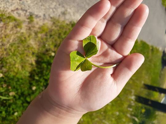 ★ドンキ♡♡ロピア 雑談34★