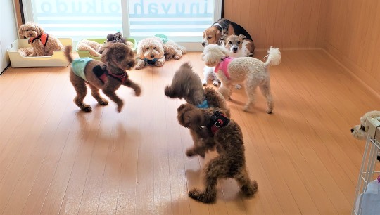 生き物ルーム第44