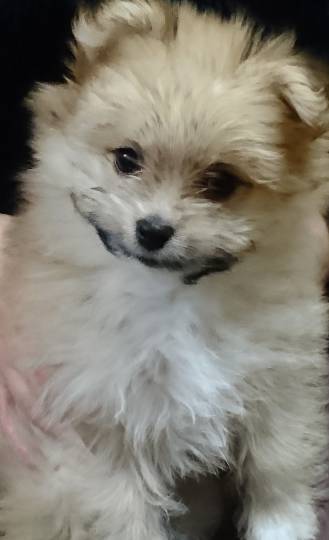 生き物ルーム第43