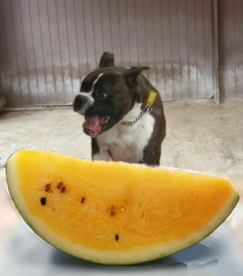 生き物ルーム第43