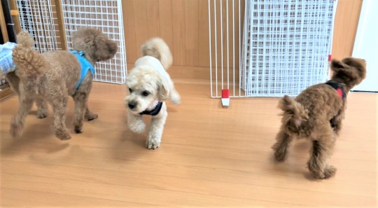 生き物ルーム第44