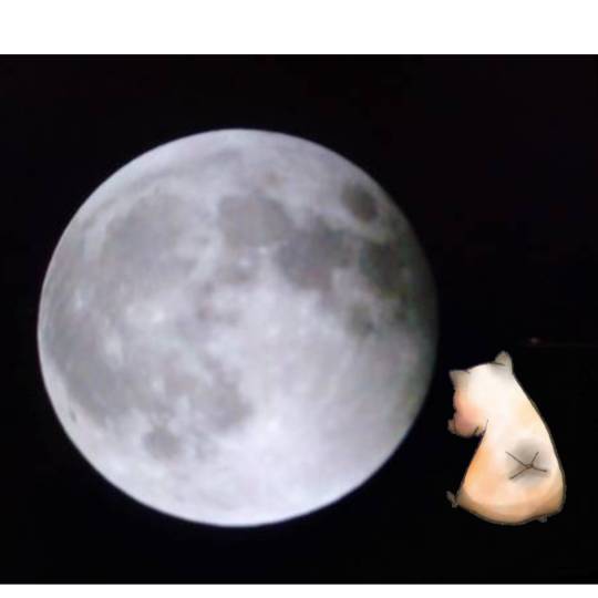 #雑談お絵描き部…ホーム❼