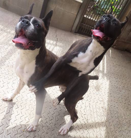 生き物ルーム第44