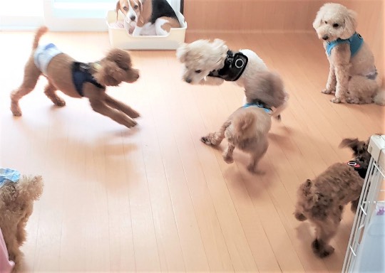 生き物ルーム第43