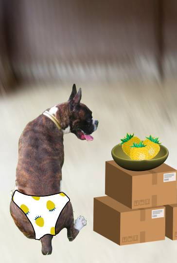 生き物ルーム第43