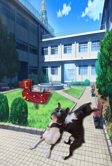 生き物ルーム第44