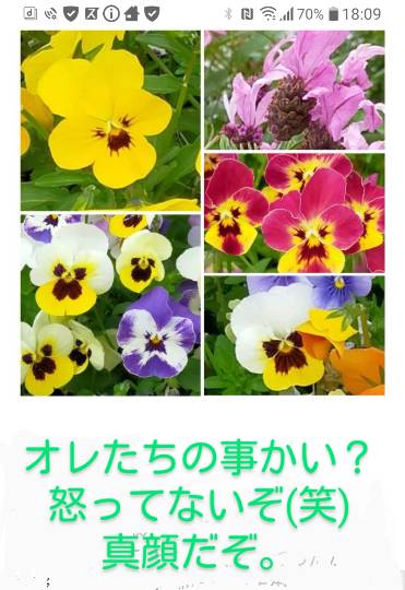 ★ドンキ♡♡ロピア 雑談29★