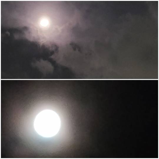 EGG'S CAFE 　Cha 茶 ちゃ♪