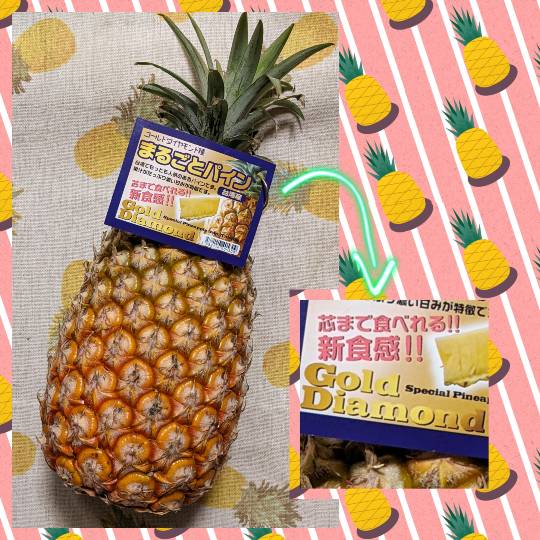 東海エリア界 No.ローーーック(６)