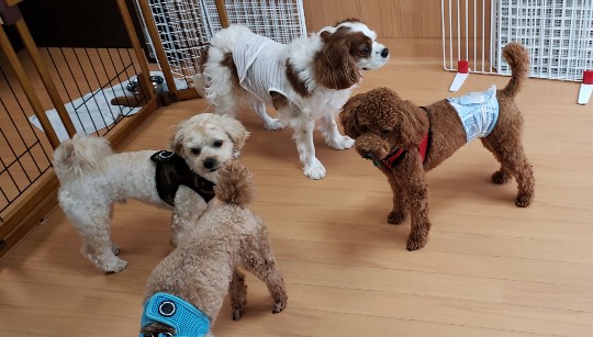 生き物ルーム第44