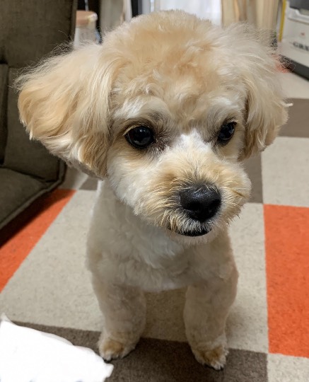 生き物ルーム第43