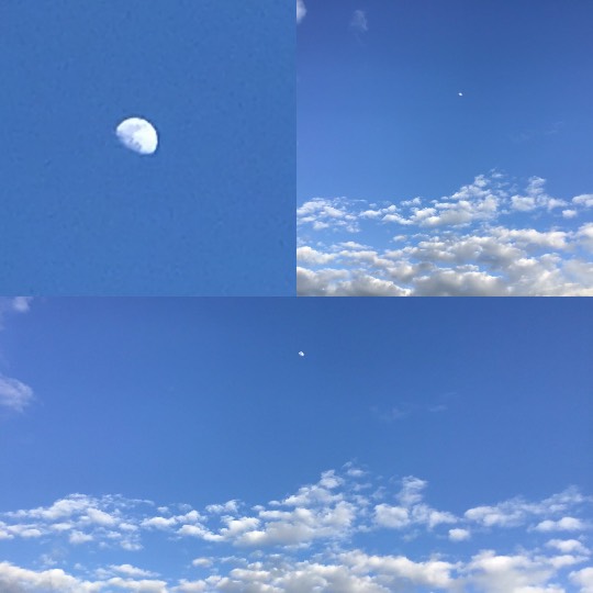 ★ドンキ♡♡ロピア 雑談32★