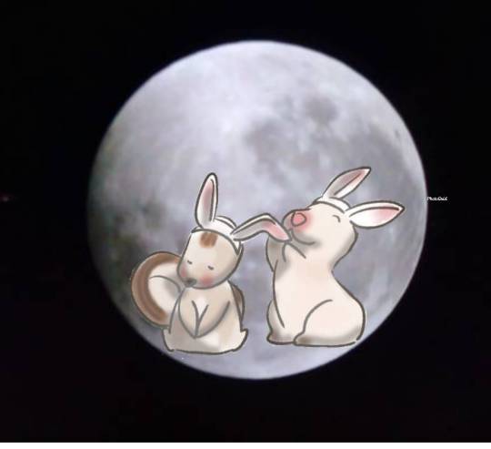 #雑談お絵描き部…ホーム❼