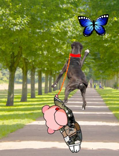 生き物ルーム第44