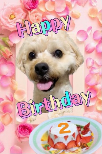 生き物ルーム第43